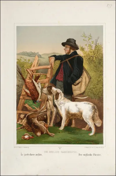 Quelle est une des fonctions principales du garde-chasse ?