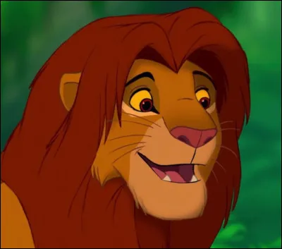 8. Et connais-tu la signification de Simba ?
