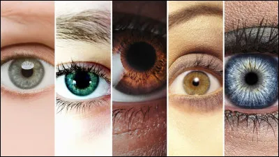 De quelle couleur sont tes yeux ? (2)