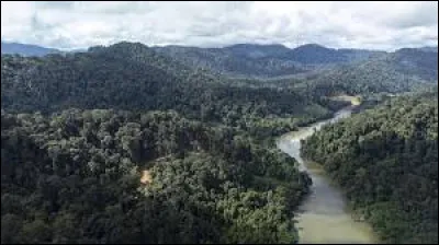 Avec 1 143 km le Kapuas est le plus long fleuve d'Indonésie : quelle est sa particularité ?