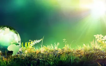 Quiz Notre plante