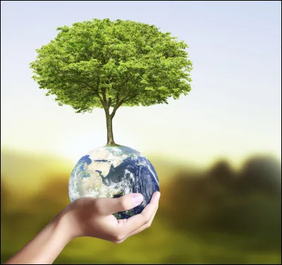 En fonction de quoi les êtres vivants de notre environnement peuvent-ils être répartis ?