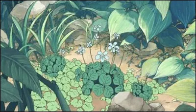 Dans quoi les racines des végétaux s'implantent-elles ?