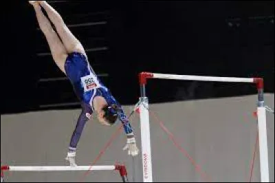 Quel est cet agrès ?