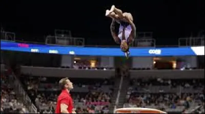 Quelle est cette figure ?