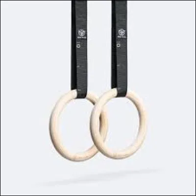 Quel est cet agrès ?