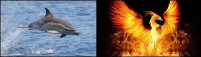Comme j'ai toujours raison, j'affirme bien haut que le dauphin commun et l'oiseau mythique le Phoenix sont bien les emblèmes de la Grèce. Vrai ou faux ?