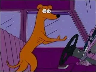 Comment s'appelle le chien ?