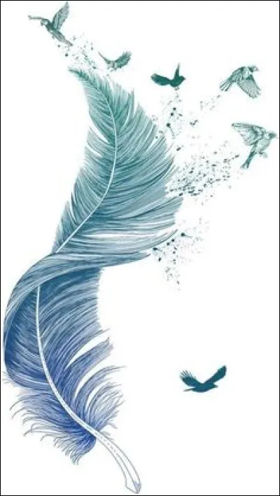 Laquelle de ces marques n'est pas une marque de basket ?