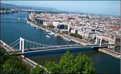 De quel roman, Bernard Rieux est-il le héros ?