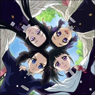 Avec qui Tanjiro se marie-t-il ?