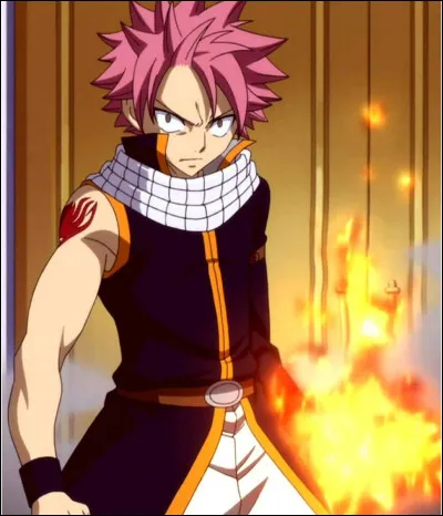 Quel est le surnom de Natsu ?
