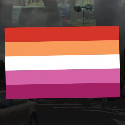 Ce drapeau est celui des...