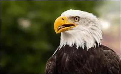 Cliquez sur la bonne réponse :