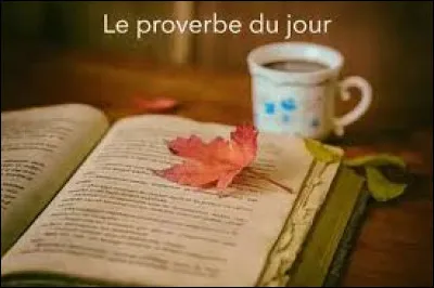 Complétez ce proverbe : on reconnaît l'arbre à ses ...