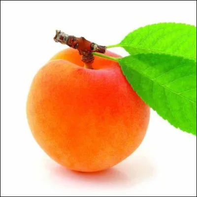 Quelle est cette variété d'abricot considérée comme la meilleure, fruit jaune piqué de rouge, très goûteux ?