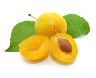 Quelle est cette variété de prune répandue en Lorraine, petit fruit rond, jaune et goûteux ?
