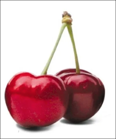 Quelle est cette variété de cerise de type bigarreau la plus consommée en France ?