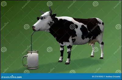 Est-ce que tu aimes le lait ?