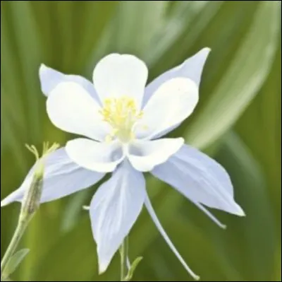 Pouvez-vous me donner son nom ?