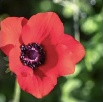 Et celle-ci, quel est son nom ?