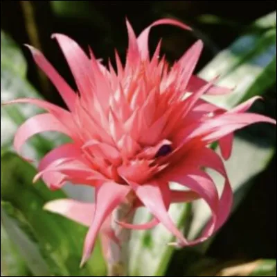 Et celle-ci, pouvez-vous me donner son nom ?