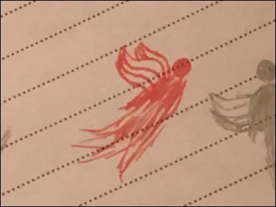 Situation 1 : 
Tu arrives au Wonderland ; pendant des mois tout se passe bien, mais des floreurs arrivent.
Que fais-tu ?