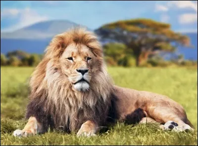 Qui est la compagne de Pelage de Feu ?