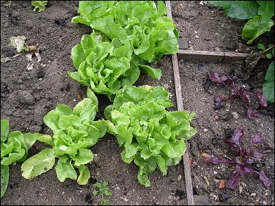 Lequel de ces livres de Pierre Mac Orlan est sorti en 1926 ?