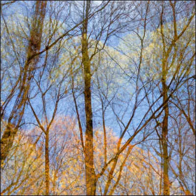 Que reste-t-il dans la huche à pain ? Seulement des croûtons !