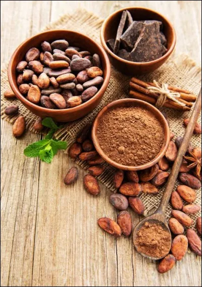 Comment appelle-t-on l'éclat de fève de cacao ?