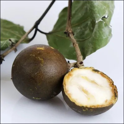 Vomique : quel poison violent est extrait de la noix vomique (fruit du vomiquier) ?