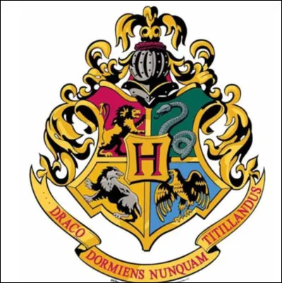 Quelle est ta maison dans ''Harry Potter'' ?