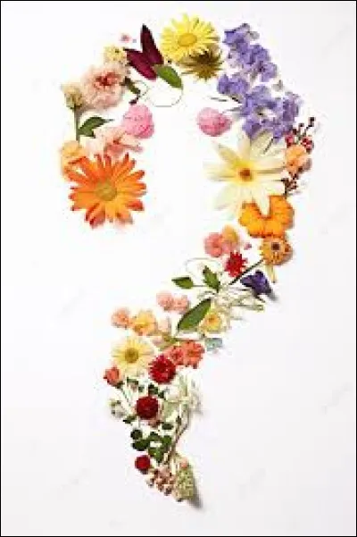 Colchique : de quelle couleur sont les colchiques ?