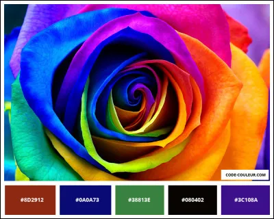 Quelle est ta couleur préférée ? (2)