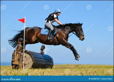 La phase de saut représentée sur la photo s'appelle...