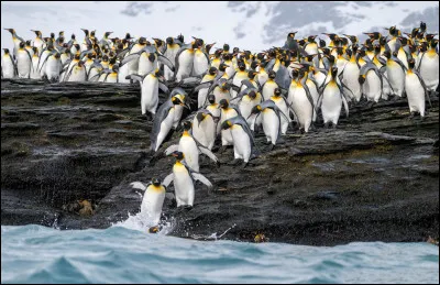 Quel navigateur a installé une colonie française aux îles Malouines ?