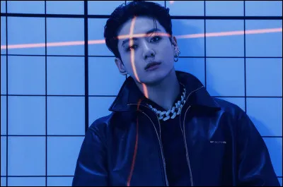 Quels sont les surnoms donnés à Jungkook ?