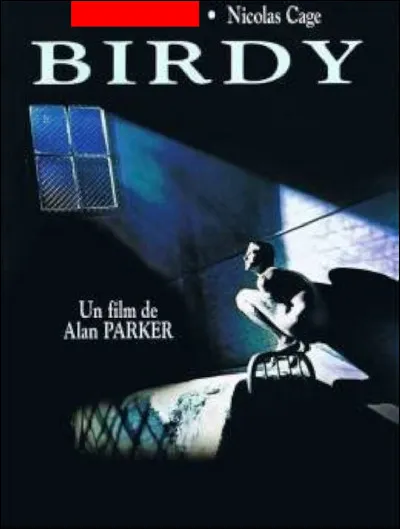 Qui joue le personnage appelé Birdy dans un film qui traite du stress post-traumatique ?