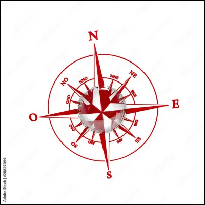 Le dauphin l'a dans le nez, c'est l'...