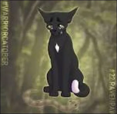 Commençons une histoire ! Donc, tu es un mâle noir à la tache blanche sur la poitrine. Tes parents sont morts à ta naissance, alors c'est Chipie qui t'a adopté. Personne ne te dit qui sont tes parents, ils disent que ce n'est pas nécessaire en ce moment, et que vous n'avez pas le temps. Que fais-tu, suite au fait que tes parents sont morts ?