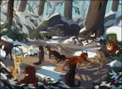 Lors d'une aube tiède et humide, tout à coup, un bruit du tonnerre résonne. Tout un clan est devant votre camp, y compris reines, anciens et petits. Tu te rends compte qu'ils négocient avec ton chef, Étoile de Feu, pour avoir une place dans votre camp pour quelques jours. Qu'en penserais-tu, toi, si tu étais chef ?