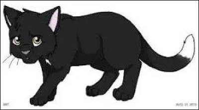 Bien évidemment, Étoile de Feu accepte. Le camp est infesté de mauvaises odeurs de pin. Soudain, des reines et des chatons arrivent dans la pouponnière. Que fais-tu ?