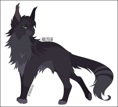 Une jeune chatonne du Clan de l'Ombre arrive vers toi et te salue. Elle se présente : Petite Nuit. Elle te demande quel est ton nom.