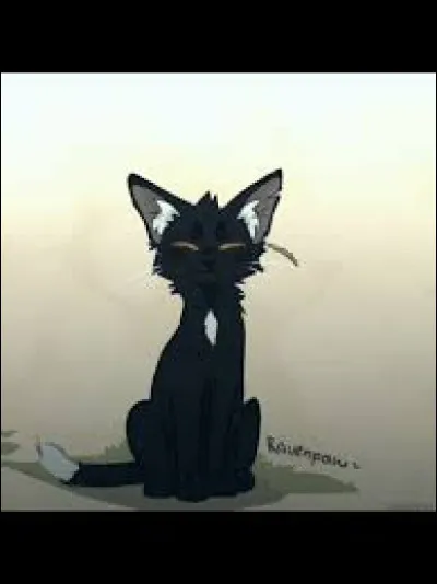 Finalement, vous devenez amis, mais timidement pour ta part. Le Clan de l'Ombre part malheureusement, mais Étoile de Feu te nomme apprenti guerrier devant eux, ce qui est une fierté. Comment sens-tu cette nouvelle, d'être nommé devant les ennemis ?