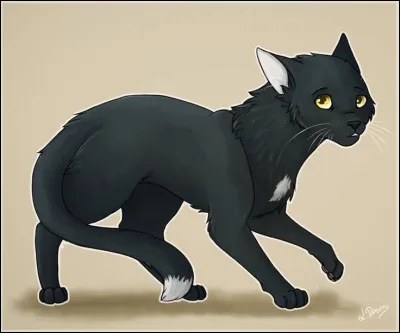 Étoile de Feu te nomme finalement Feuille de Jais. Tu croises une nouvelle fois à l'Assemblée, quelques lunes plus tard, Flamme de Nuit, et elle te dit qu'elle attend des chatons. Comment réagis-tu ?