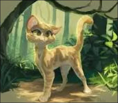 Elle te dit finalement qu'elle va mettre bas à la frontière, car elle ne serait pas capable de quitter son clan. Heureusement, ton pelage noir ressemble au sien, alors elle pourra facilement simuler qu'elle est la mère, et elle pourra choisir un père. L'Assemblée finit enfin, et le soir, Tempête de Sable te demande si tu vas bien, car tu ne sembles pas correct.