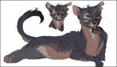 Quelques lunes plus tard, Flamme de Huit met bas à la frontière. Trois beaux chatons. Elle te demande de les nommer. Le premier est une femelle au pelage noir, et aux pattes gris-brun et aux yeux bleus. Elle a l'air cruelle, mais forte et machiavélique, méfiante et intelligente.