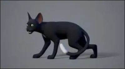 Puis, Flamme de Nuit te demande dans quel clan ils vont être. Tonnerre ou Ombre ?