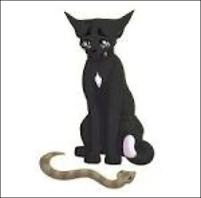 Vous quittez finalement les clans, mais Flamme de Nuit te dit qu'il faudrait bien avertir les clans de leur disparition. Comment l'annonces-tu ?